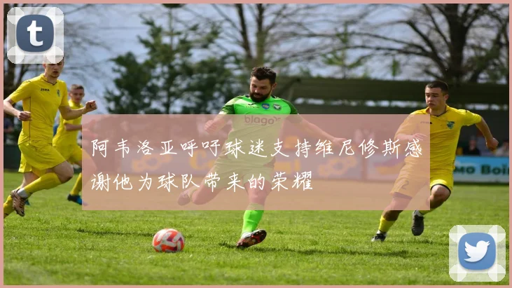 阿韦洛亚呼吁球迷支持维尼修斯感谢他为球队带来的荣耀